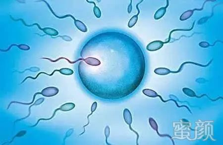用供卵做试管代怀医院生男孩要多少钱？