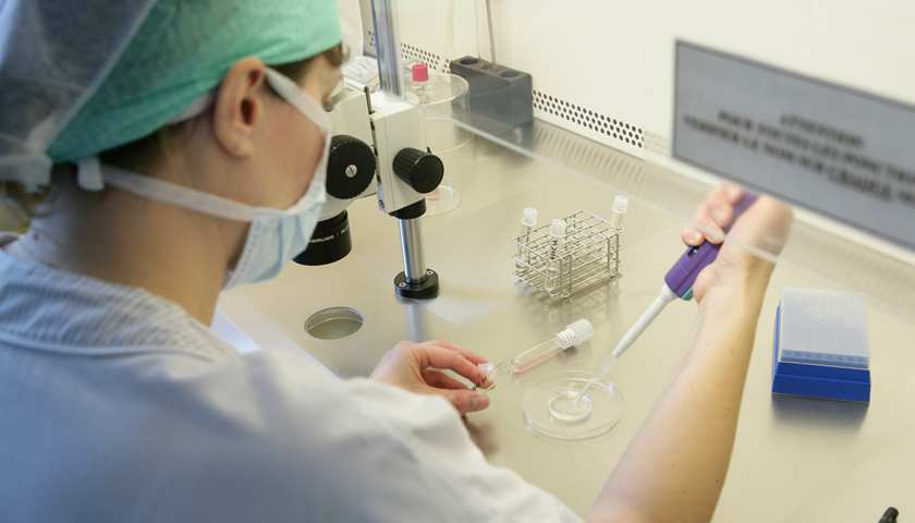 赠卵试管婴儿有可能不是自己的吗