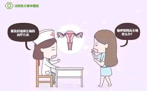 2024年备孕“虎宝宝”时间表,生孩子选这几个月命最好