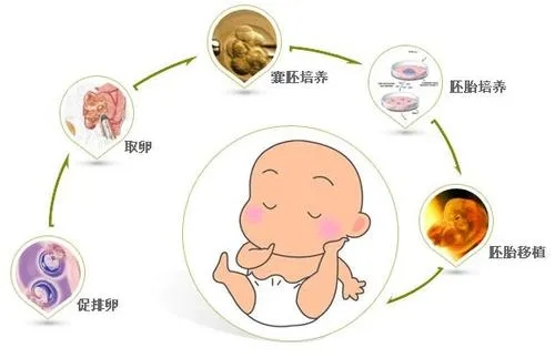 武汉哪个医院失独再生养家庭婴儿一次性成功的几率大