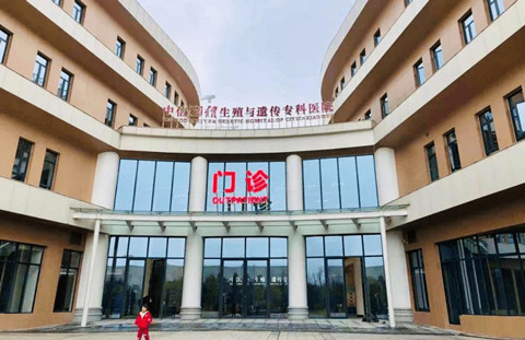 武汉不孕试管求子价格多少费用（武汉代怀包男孩价格多少费用报销